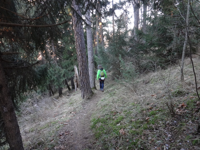 Galugg-Klettersteig 04613.JPG