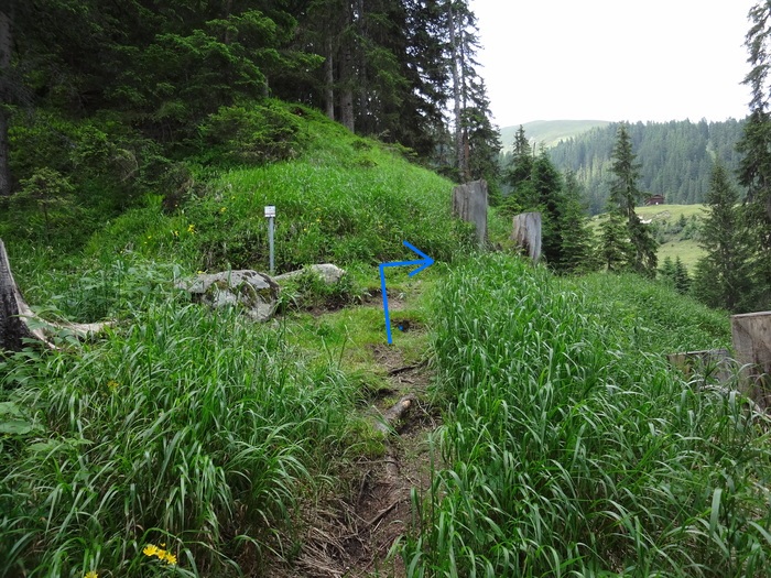 Gargellen-Klettersteige 05359.JPG