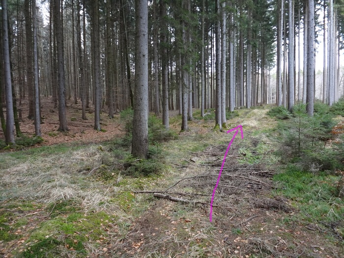 Gautinger 03836.JPG