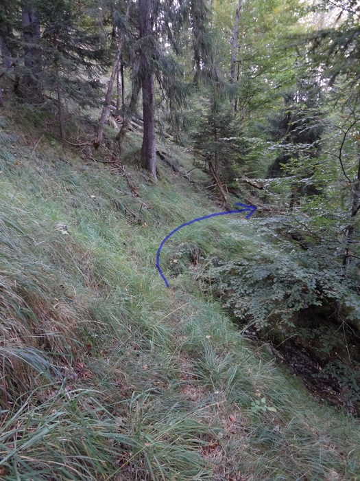 Graseck 01713.JPG