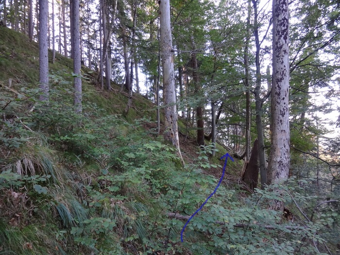 Graseck 01734.JPG