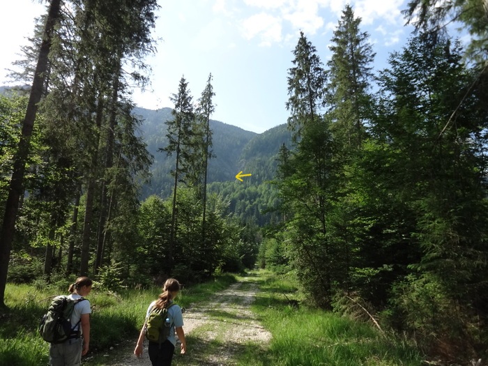 Grasköpfl 07766.JPG
