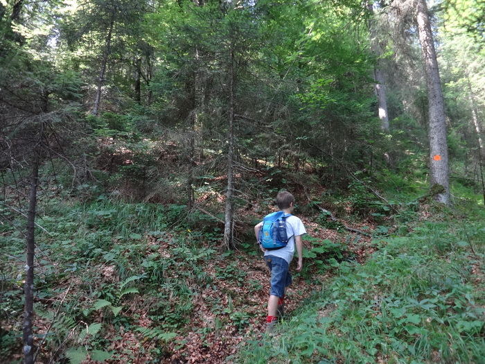 Grasköpfl 07802.JPG