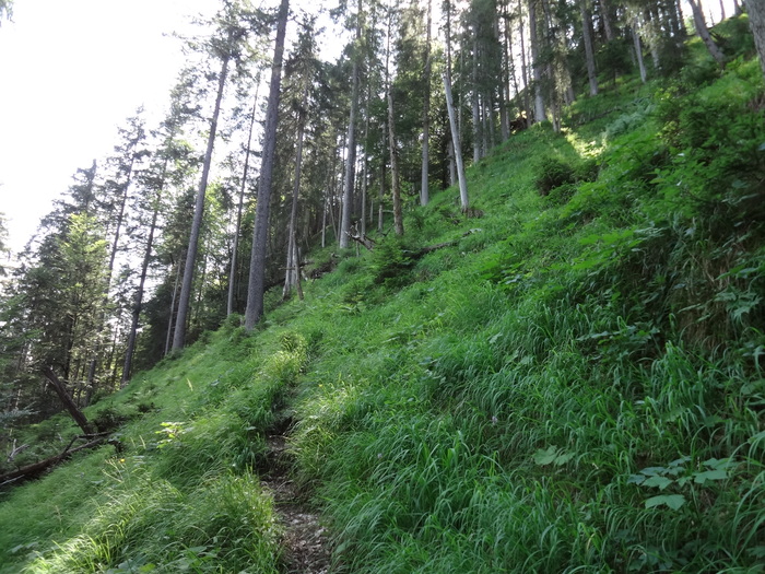 Grasköpfl 07834.JPG