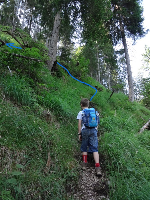Grasköpfl 07838.JPG