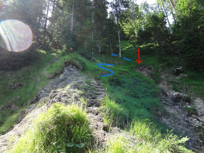 Grasköpfl 07880.JPG