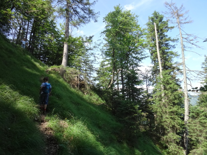 Grasköpfl 07889.JPG