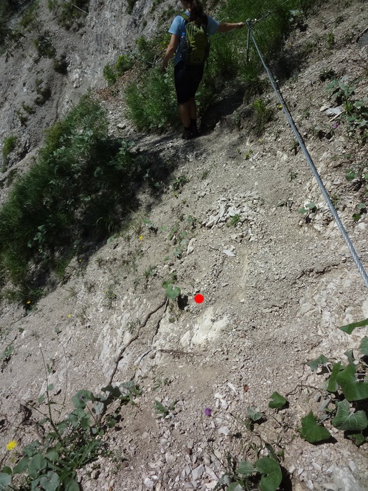 Grasköpfl 07902.JPG