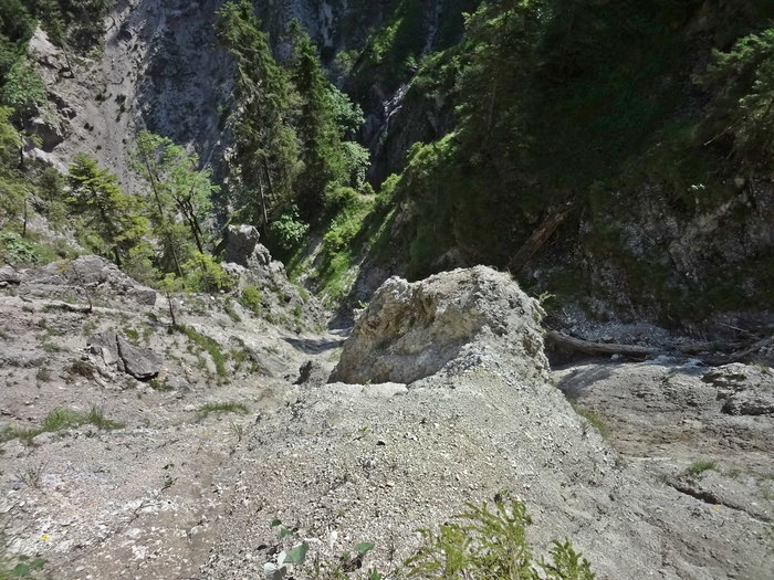 Grasköpfl 07925.JPG