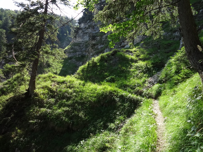 Grasköpfl 08004.JPG