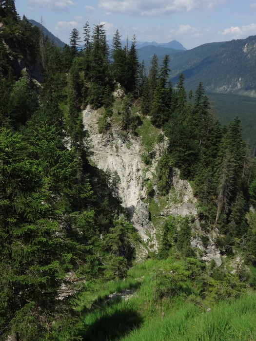 Grasköpfl 08071.JPG