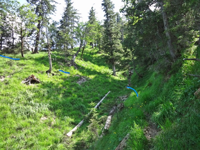 Grasköpfl 08075.JPG