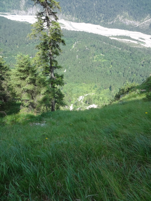 Grasköpfl 08146.JPG