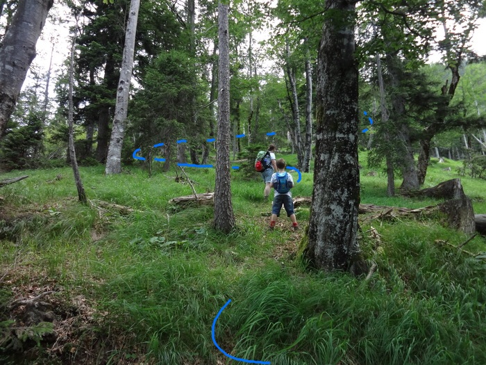 Grasköpfl 08217.JPG