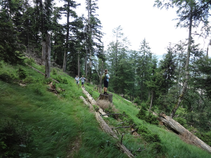 Grasköpfl 08264.JPG