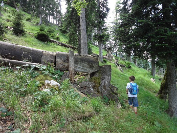 Grasköpfl 08265.JPG