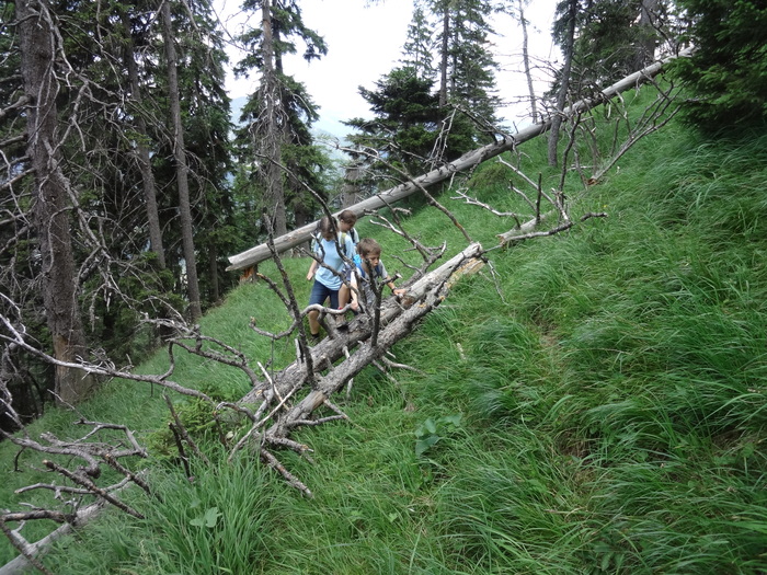 Grasköpfl 08278.JPG