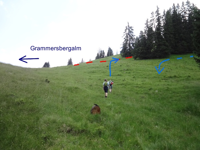 Grasköpfl 08345.JPG