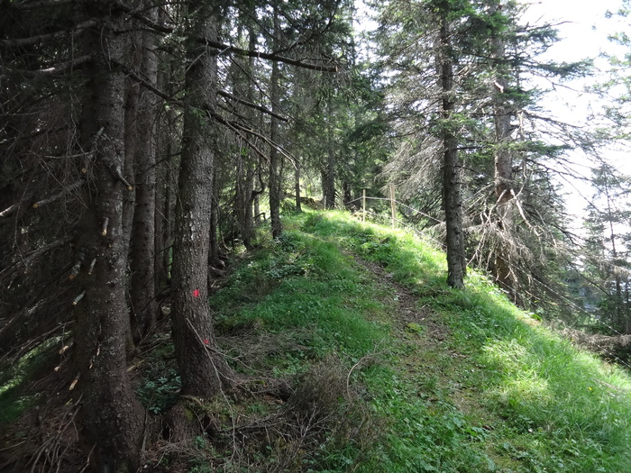 Grasköpfl 08392.JPG