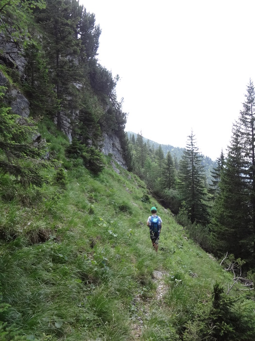 Grasköpfl 08417.JPG
