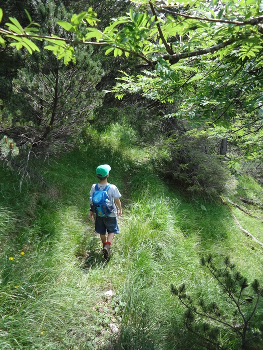 Grasköpfl 08487.JPG