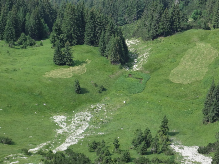 Grasköpfl 08609.JPG