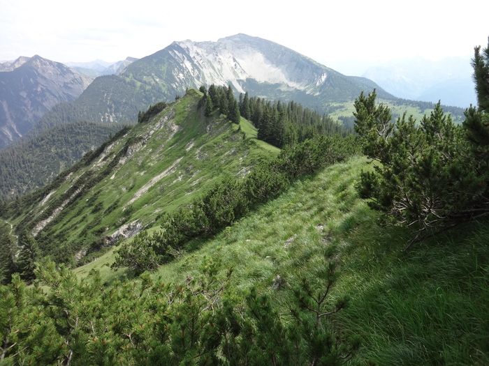 Grasköpfl 08620.JPG