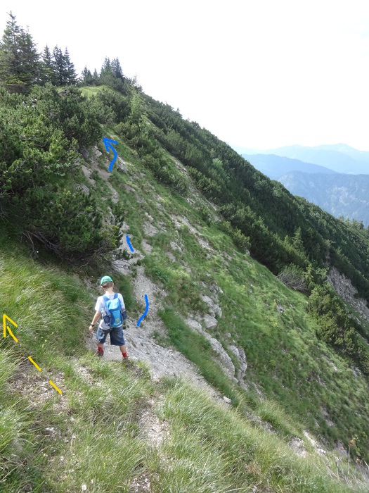 Grasköpfl 08787.JPG