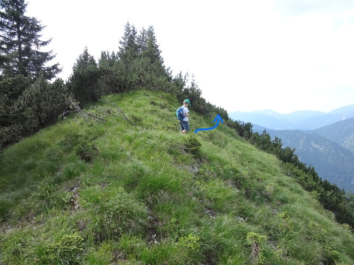 Grasköpfl 08817.JPG