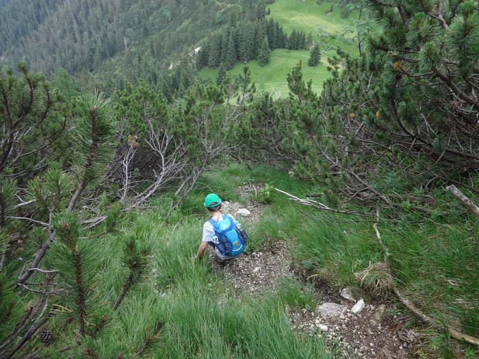 Grasköpfl 08890.JPG