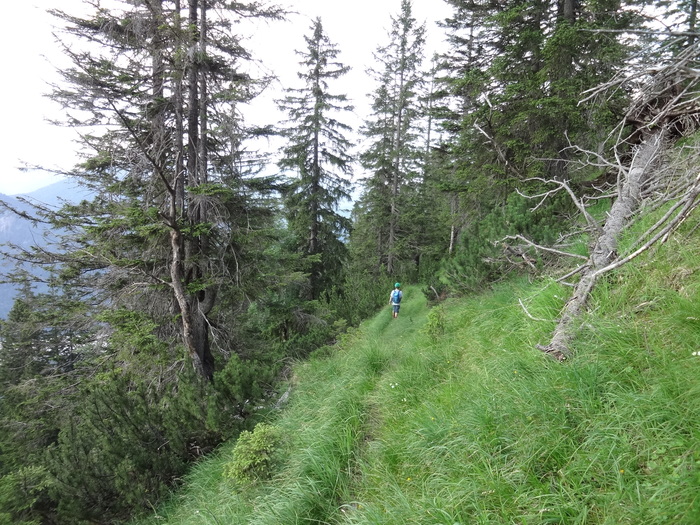 Grasköpfl 08952.JPG