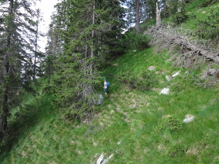 Grasköpfl 08969.JPG
