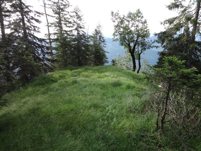 Grasköpfl 08976.JPG