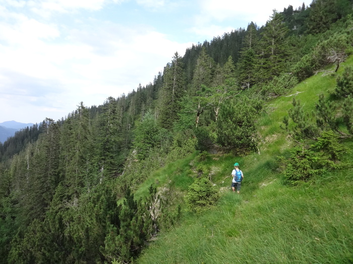 Grasköpfl 08980.JPG