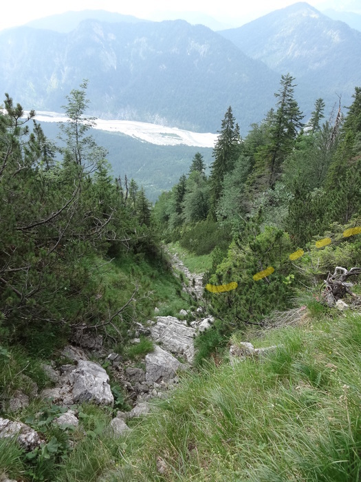 Grasköpfl 08989.JPG