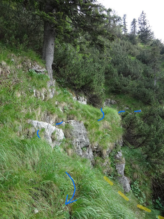 Grasköpfl 08996.JPG