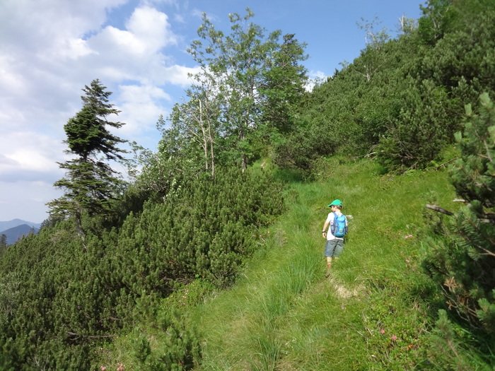 Grasköpfl 09008.JPG