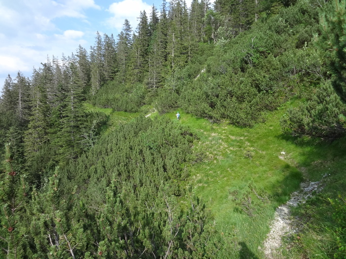 Grasköpfl 09018.JPG