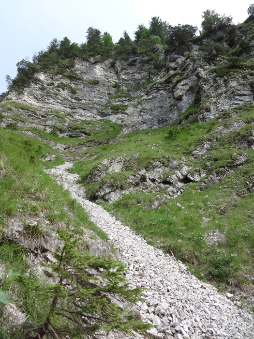 Grasköpfl 09099.JPG