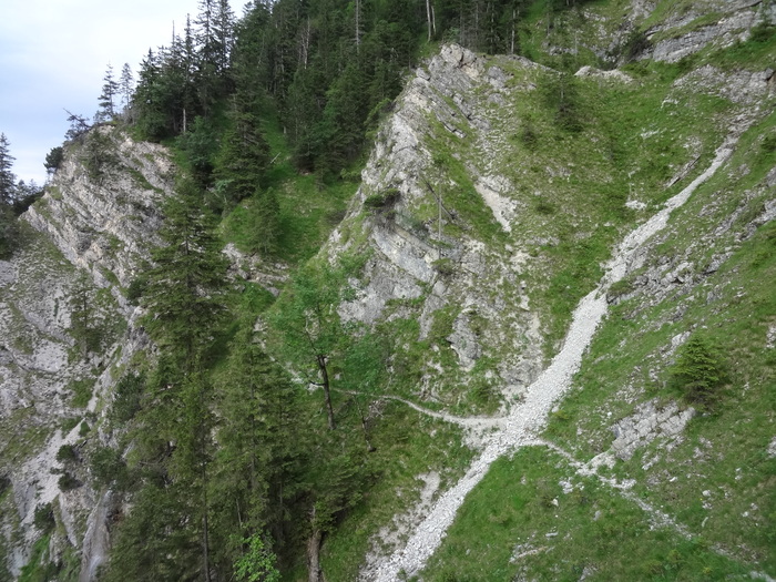 Grasköpfl 09103.JPG