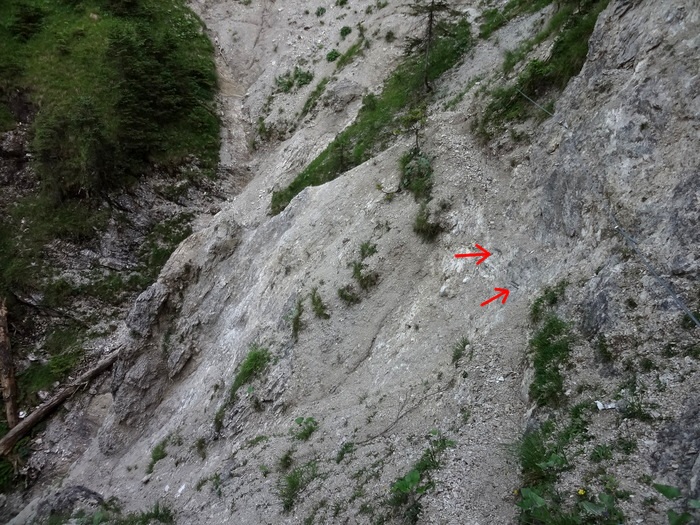 Grasköpfl 09192.JPG
