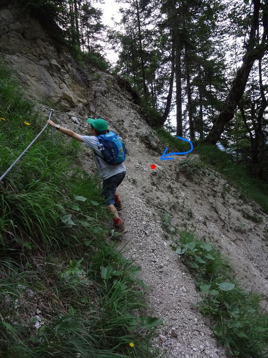 Grasköpfl 09208.JPG