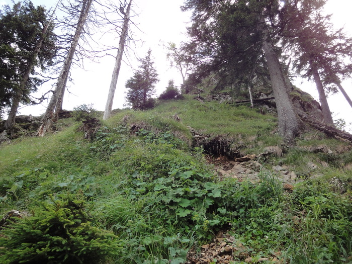 Burgberger 03847.JPG