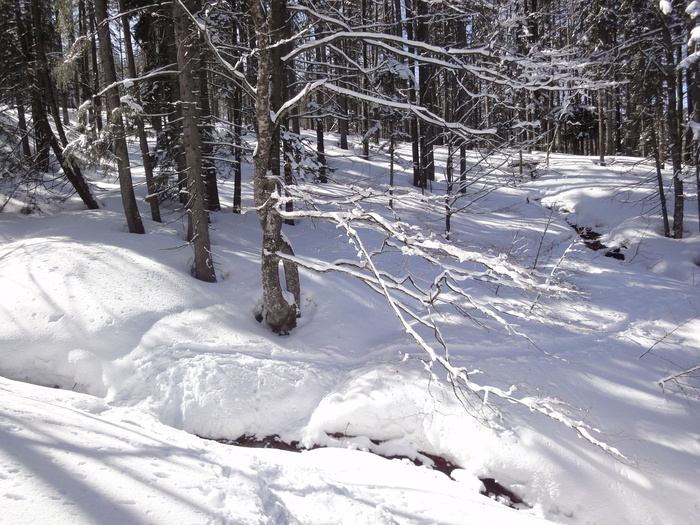 Hochalm 09646.JPG