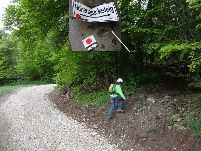 Höhenglücksteig 02489.JPG