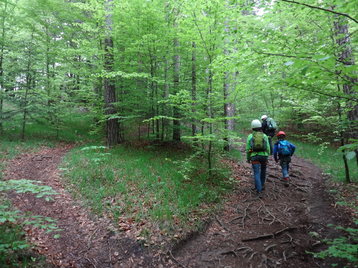 Höhenglücksteig 02495.JPG