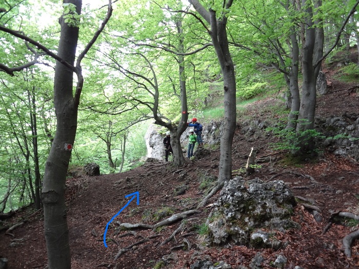 Höhenglücksteig 02568.JPG