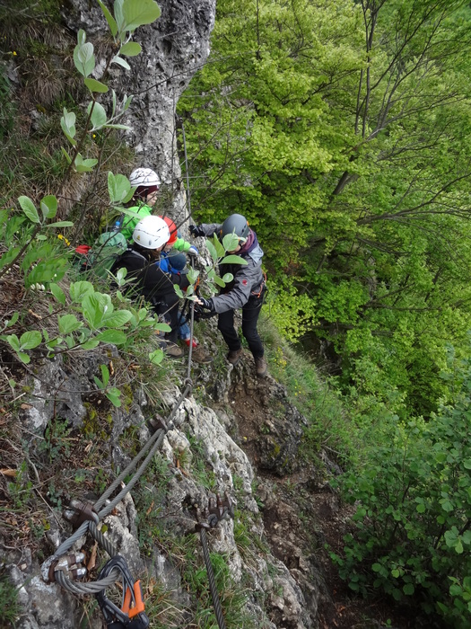 Höhenglücksteig 02661.JPG