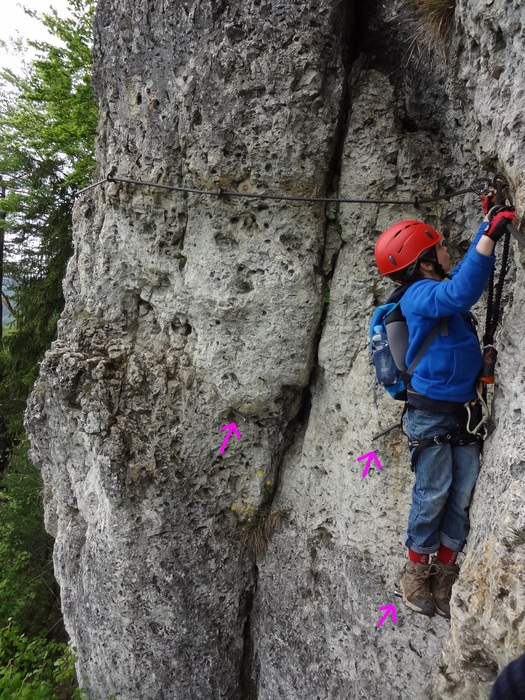 Höhenglücksteig 02728.JPG