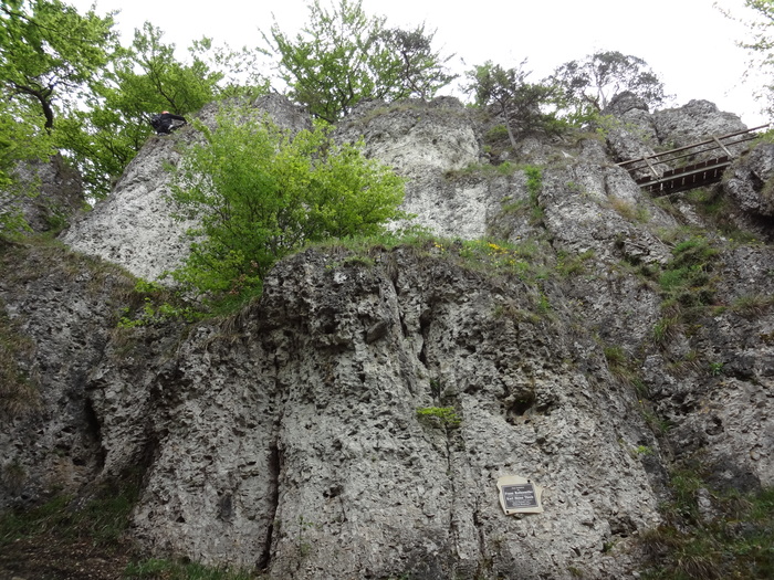 Höhenglücksteig 02785.JPG